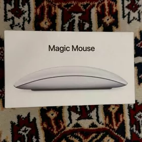magic mouse