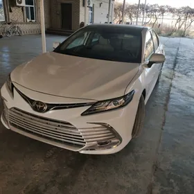Toyota Camry 2020