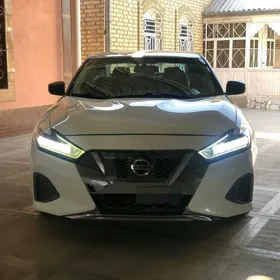 Nissan Maxima 2020