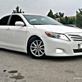 Ищу работу.