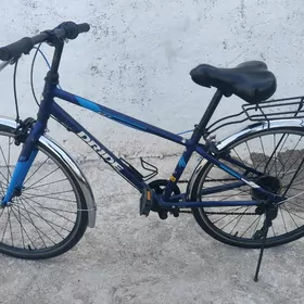 Tigir Ýapoşga welik велосипед