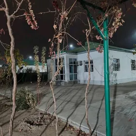 Taze zaman 1 tapgry plan Jay