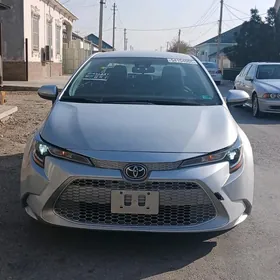 Toyota Corolla 2021