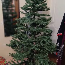продаю ёлку