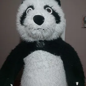 panda