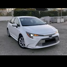 Toyota Corolla 2020