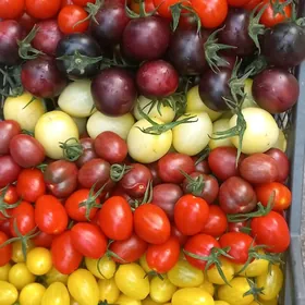 Işgãr oglsn-gyz gerek