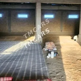 Satlyk sklad Şatlyk Şaherde