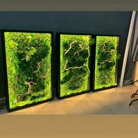 фитопанно натуральное