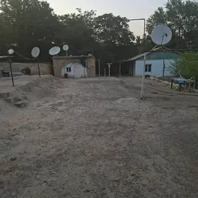 30mkr Howly jay 25 sotok