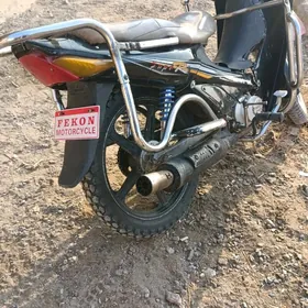 Fekon FK200-14G 2022