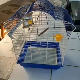 клетка kletka kapasa