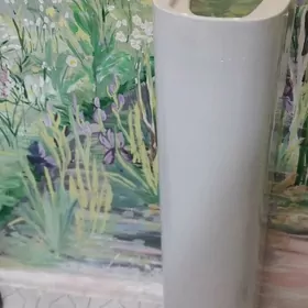 Раковина тюльпан