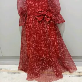 Gyzjagazlan toy koynegi