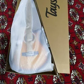 TAYSTE ELEKTRO GITARA