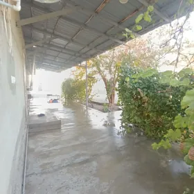 Satlyk Biznes Ucin Howly Sklat