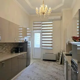 satlyk elitka 5kom gyssagly