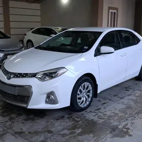Toyota Corolla 2013