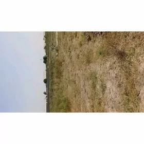 mellek ýerŸaşlyk maloşny obosy