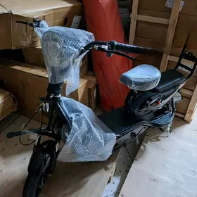 major electric, Samakat electr