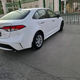 Dasdawka kargo bolsa