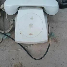 Домашний телефон ️