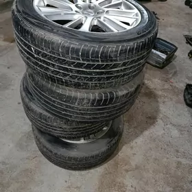 18 like disga pakrişga