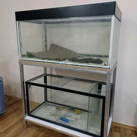 2 этажный аквариум