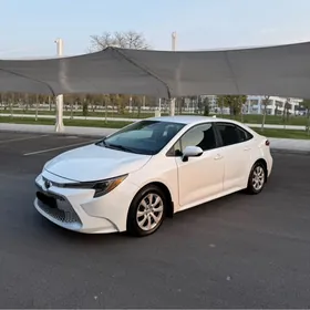 Toyota Corolla 2019