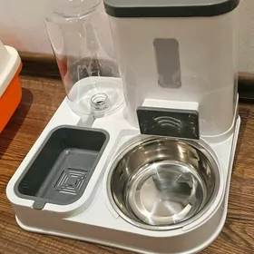 ддя котят/кошек