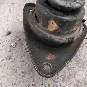 paduşka kia ve elantira taxsy