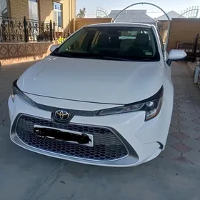 Toyota Corolla 2021