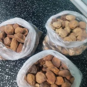 Daşoguz   kak erigi 4 görnuş