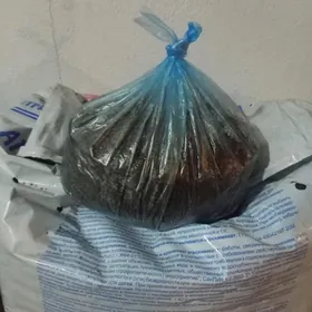 Торф Агробалт