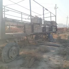 ary saklanyan pirsep