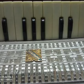 Гармошка "Малыш"