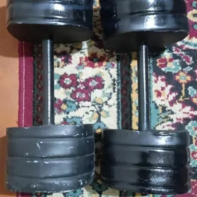 Гантели конкретный берите не п