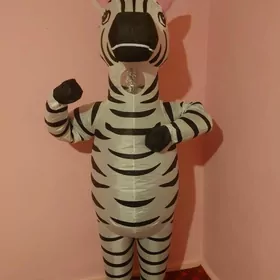 zebra miska