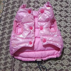 одежда для кошек