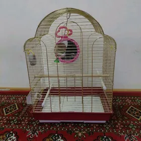 papugay kletka setka