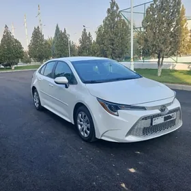 Toyota Corolla 2020
