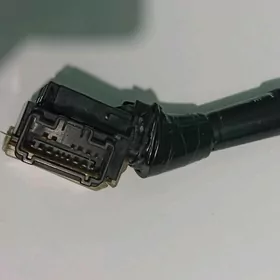 dwornik kulcatel babocka