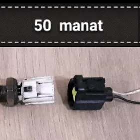 🚘 Datçik temperatura 🚘