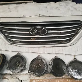 SONATA 2017 ABLISOWKA