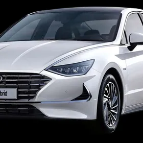 Hyundai Sonata ruchka plasmas