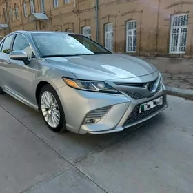 Toyota Camry 2019