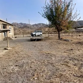 jay gokdepe sekizyap