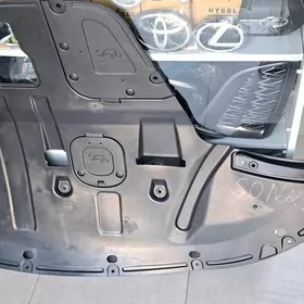 zasita sonata 21 taze