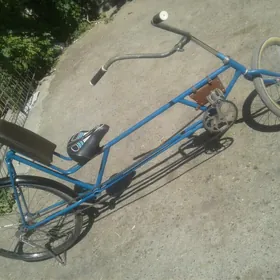 velik tigir лигерад