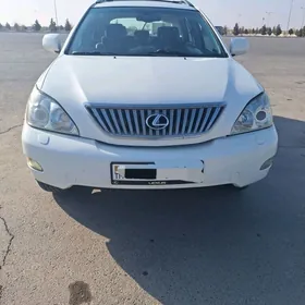 Lexus RX 330 2004